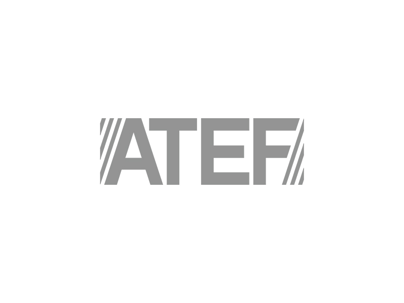 ATEF Gruppa Kompaniy